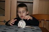 RAT 007